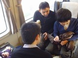 11trip010