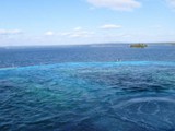 11trip245